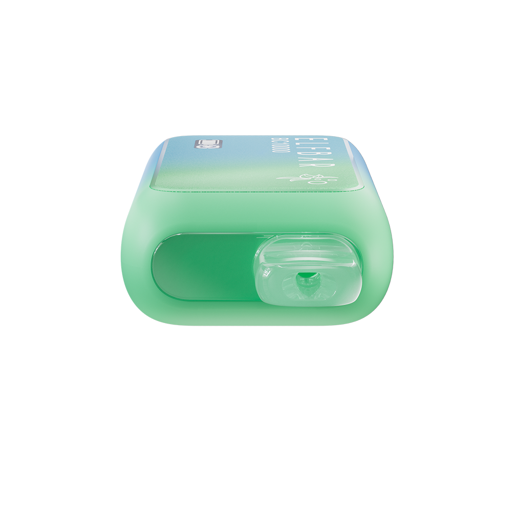 ELFBAR BC 10000 Blueberry Mint bottom disposable vape