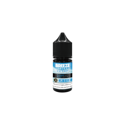 BREEZE Liquid - Blueberry Mint