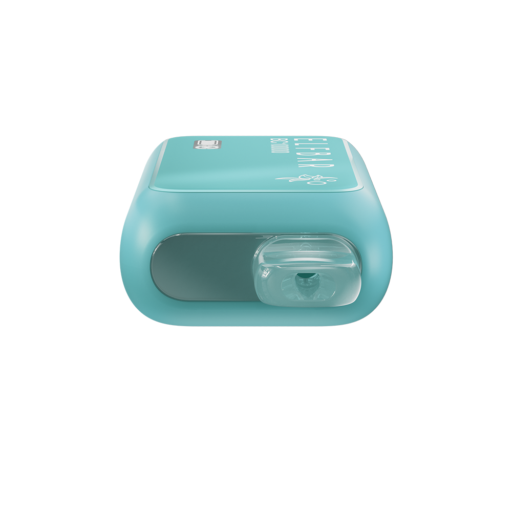 ELFBAR BC 10000 Miami Mint top disposable vape