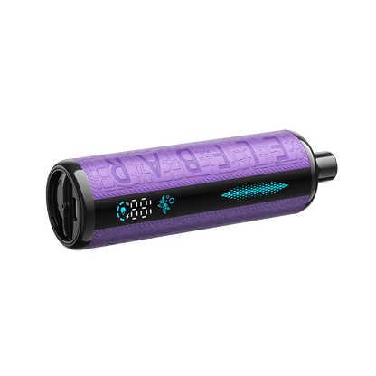 Elfbar-E-Shisha-30k-puffs-Grape-Mint-Disposable-Vape