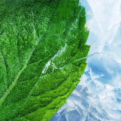 RELX Pod Pro 2 - Mint Freeze