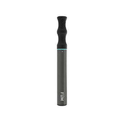 FUM Zero Spearmint disposable nicotine-free flavoured air device in Canada